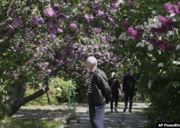 Украина: адаптивный карантин в действии