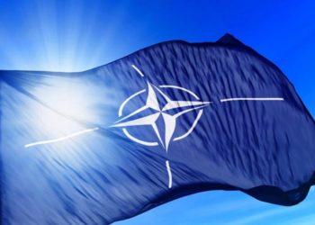 Внутри НАТО нет консенсуса в вопросе возможного членства Украины – политолог