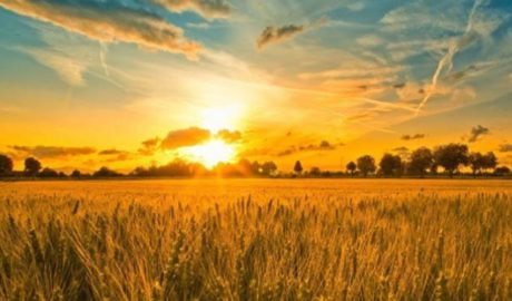 Евротерминал