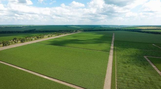 кто владеет землей в Украине