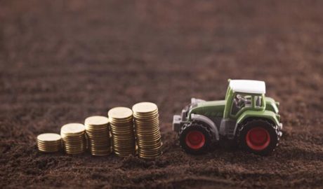 Более 40% сельскохозяйственных земель Украины