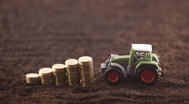 Более 40% сельскохозяйственных земель Украины
