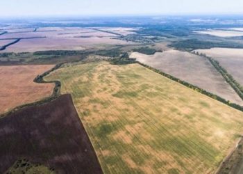 рынка земли и стоимости паев