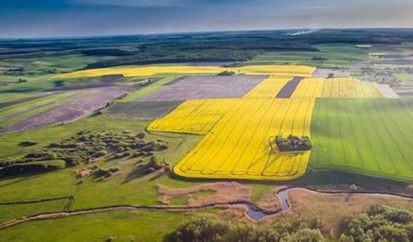 Инвестиции в земельную отрасль