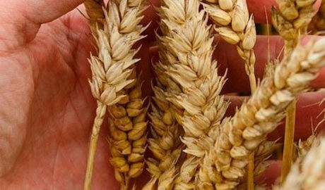 развития переработки сырья