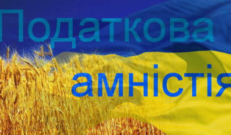 Налоговая амнистия