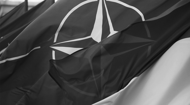 вступления Украины в НАТО