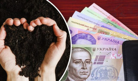 продать свои 2 га земли