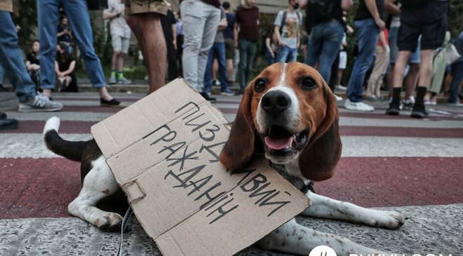 Гандзюк