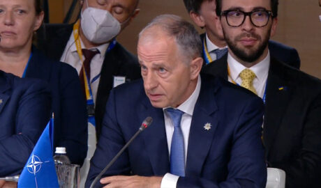 Мирча Джоанэ