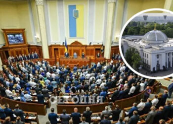 Досрочные выборы