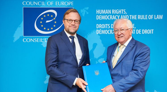 Стамбульской конвенции