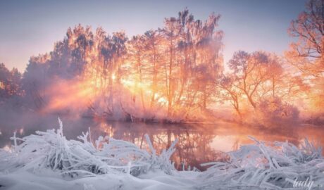 Гороскоп на 10 января для всех знаков Зодиака