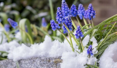 Гороскоп на 7 марта для всех знаков Зодиака