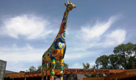 украли миллионы