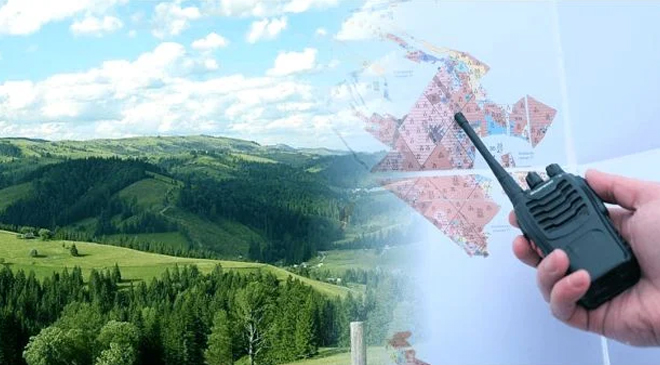 Лесная реформа