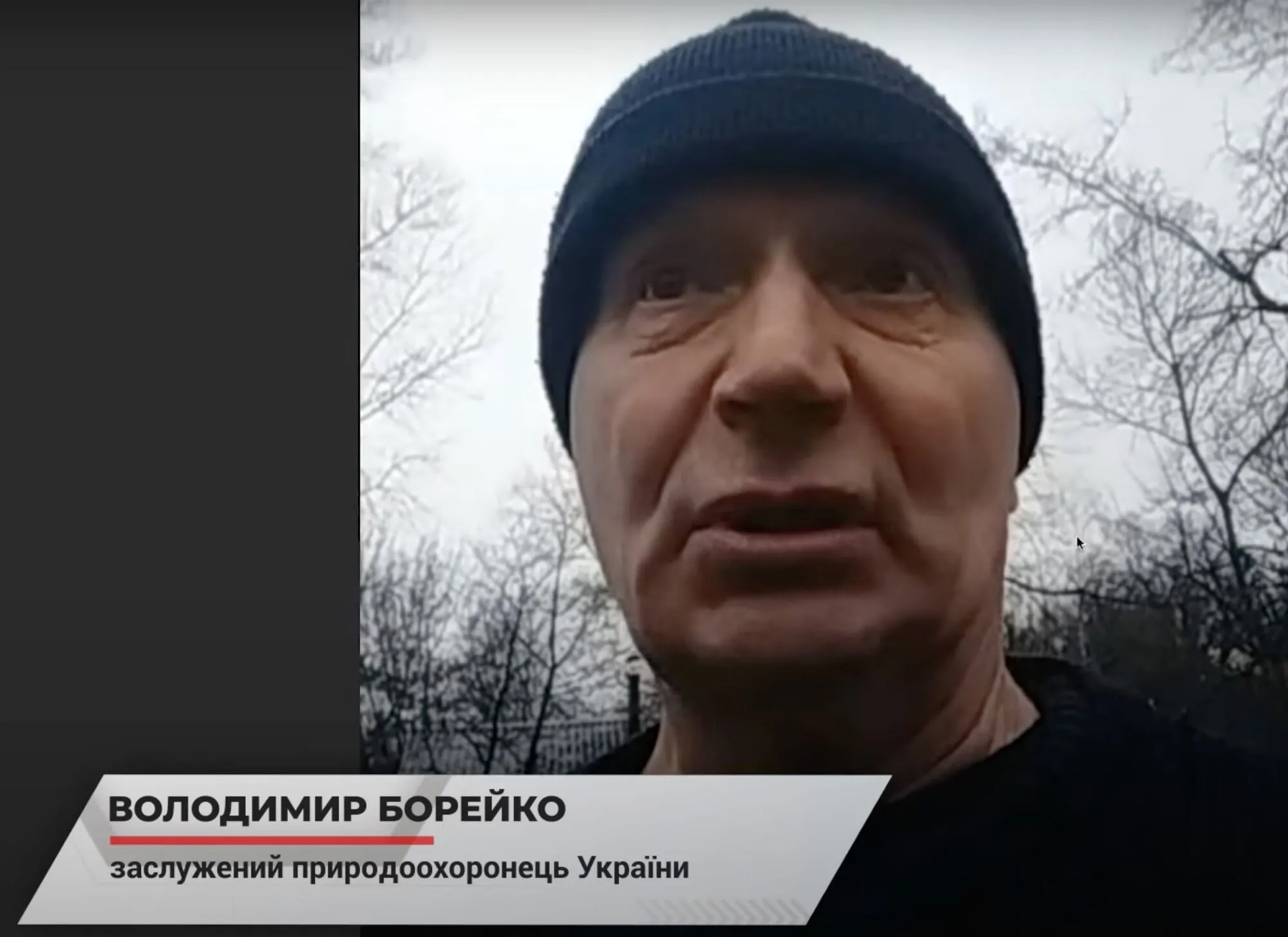 Владимир Борейко
