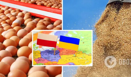 Польша запретила импорт украинского зерна