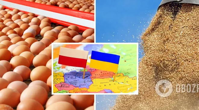 Польша запретила импорт украинского зерна
