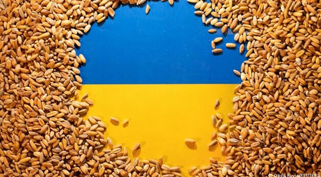 СКАНДАЛ В ПОЛЬШЕ ИЗ-ЗА ЗЕРНА