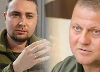 Партия Залужного и Буданова