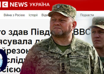 Дело Залужного