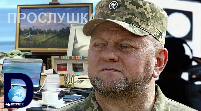 Валерий Залужный
