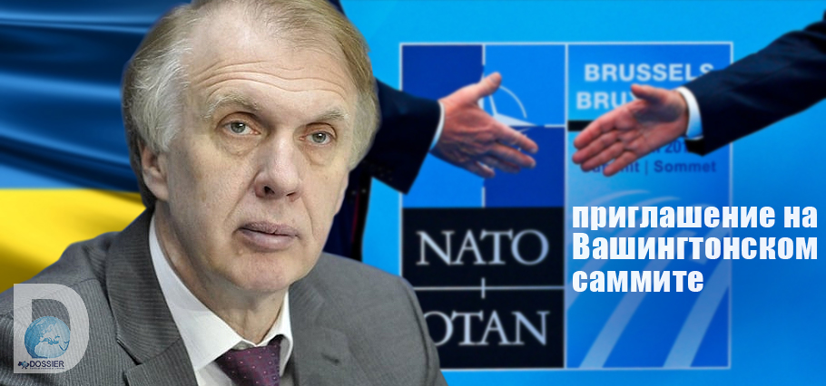 Владимир Огрызко