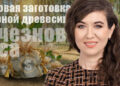 Юлия Овчинникова