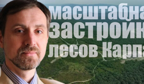 Игорь Дикий